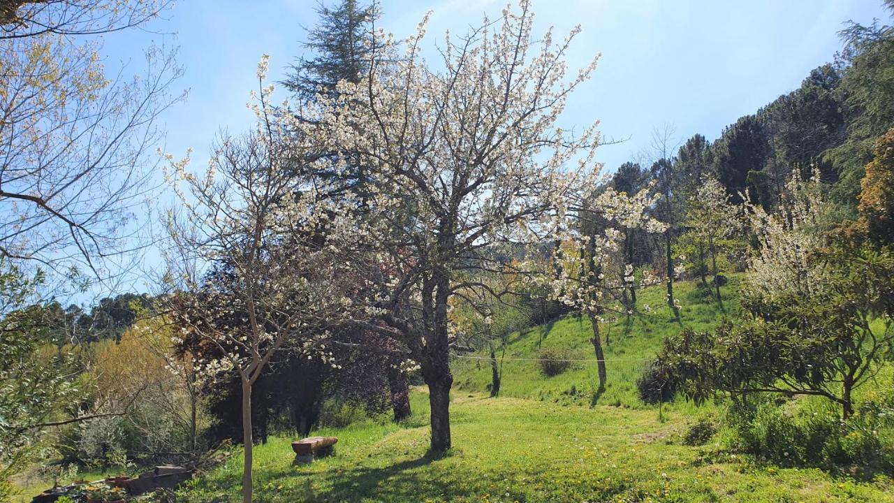 Willa Casa El Prao Arenas de San Pedro Zewnętrze zdjęcie